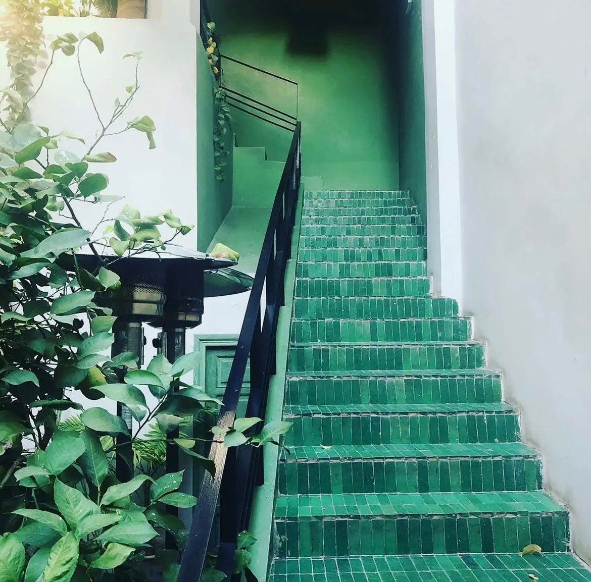 Bejmat véritable du Maroc